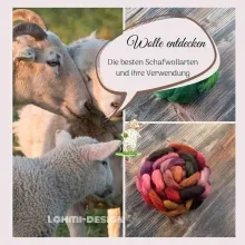 E-Book: Wolle entdecken- die besten Schafwollarten und ihre Verwendung E-Book: Wolle entdecken- die besten Schafwollarten und ihre Verwendung