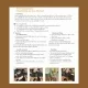Ausschnitt einer Seite der PDF-Filzanleitung, die Schritt für Schritt erklärt, wie der Funkenwichtel geformt und gefilzt wird. Klare Struktur, Bilderleiste und verständlicher Text in Filzland-Optik.