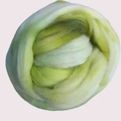 BM-9 Bio-Merinowolle „Frühlingswiese“ – handgefärbter Kammzug